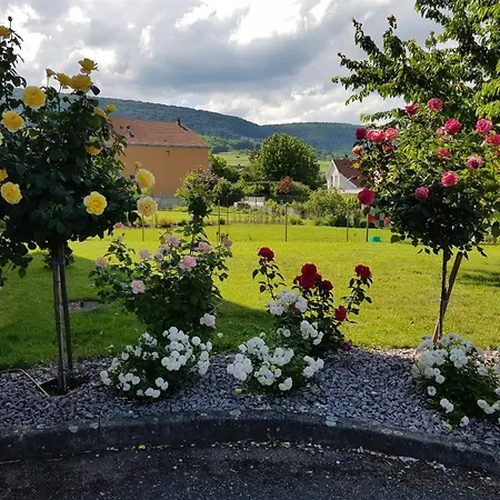 Route Des Vins D'alsace - Gewurztraminer Pfaffenheim