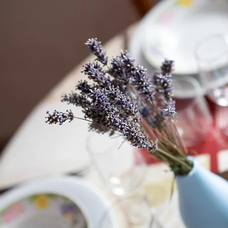 Route Des Vins D'alsace - Gewurztraminer Apartmán *